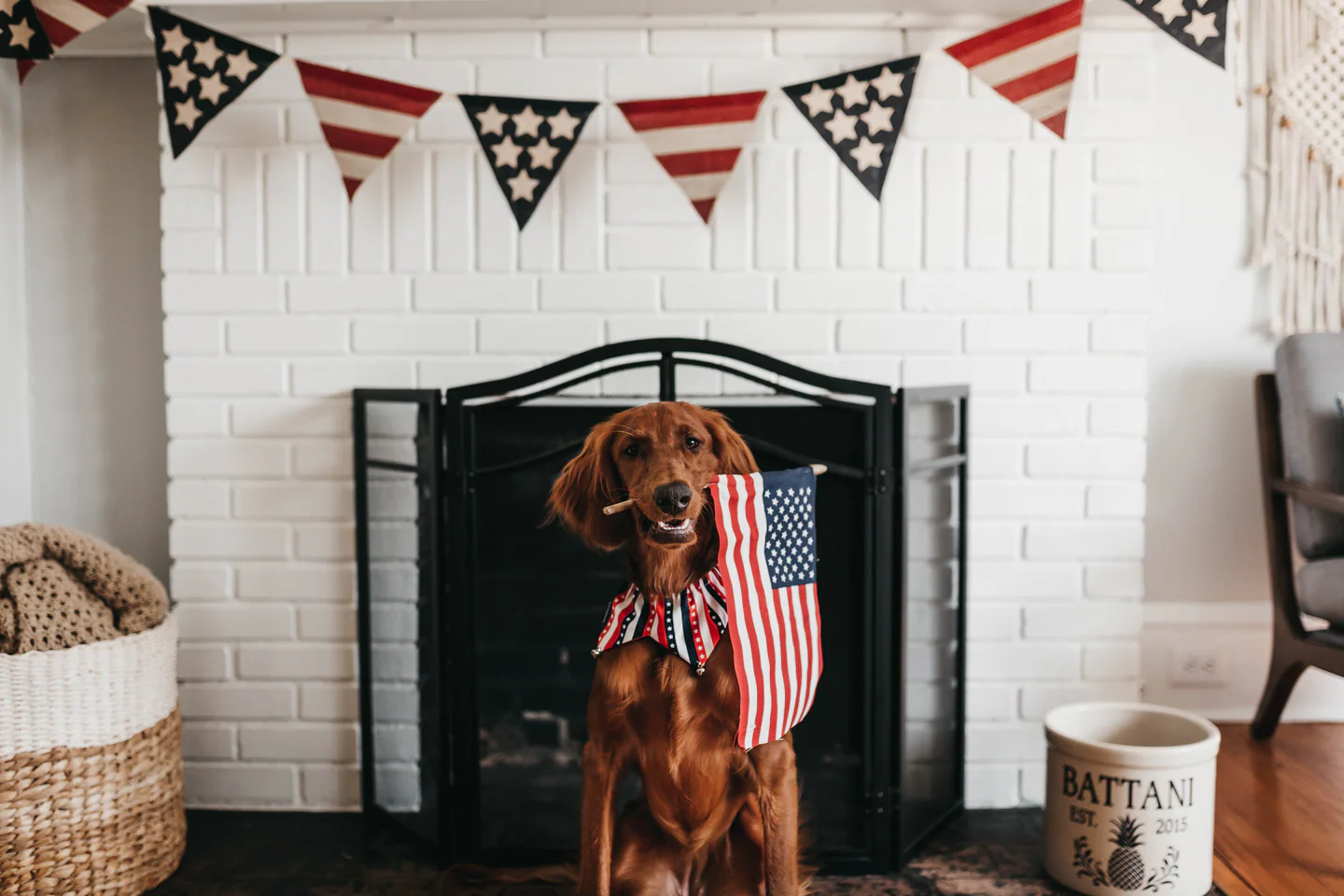 Dogs are patriots